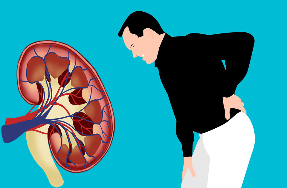 Natural protection of kidney health function