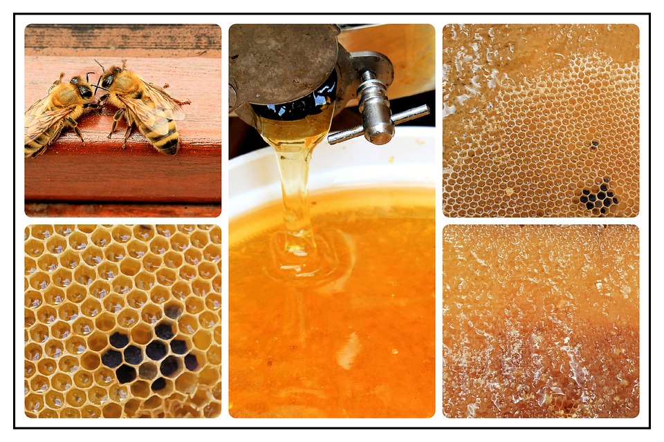 Uses of honey in medicine // Benefits of honey