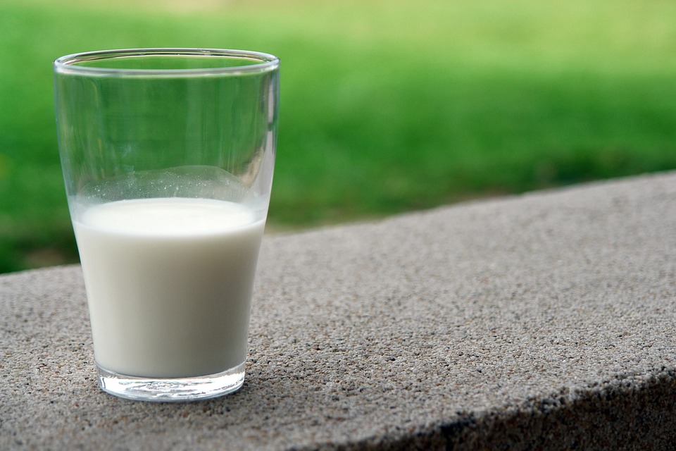 Overview fat content milk // type of milk