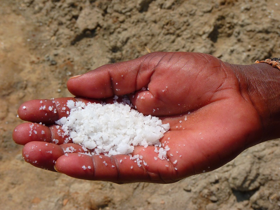 Natural fact of salt, sodium salt, nutrition